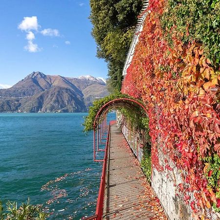 Terrazza Sul Lago - Open Space E Netflix Leilighet Lecco Eksteriør bilde